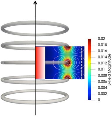 Discovery of an Electron Gyroradius Scale Current Layer: Its Relevance to Magnetic Fusion Energy, Earth's Magnetosphere, and Sunspots